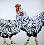 &copy;1977 David Thauberger